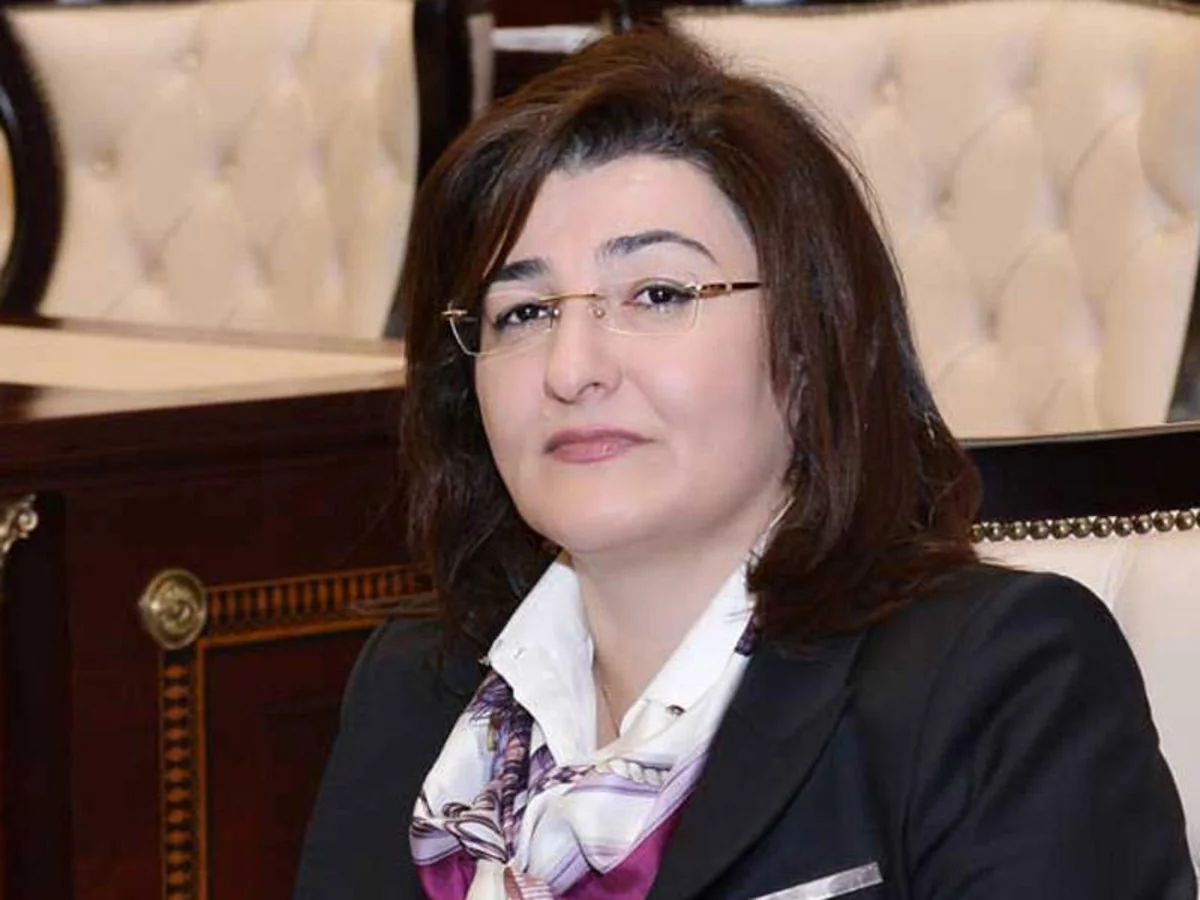 Nazir müavini: Tikinti sektorunda azalma gözlənilir