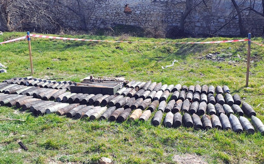 MN: Cari ildə 205 hektar ərazi mina və partlamamış döyüş sursatlarından təmizlənib