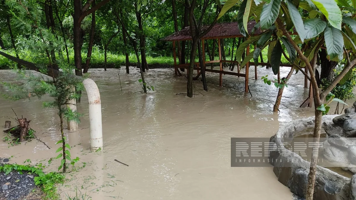 Qaxda leysan olub, çay daşıb, restoran və evlərin həyətlərini su basıb