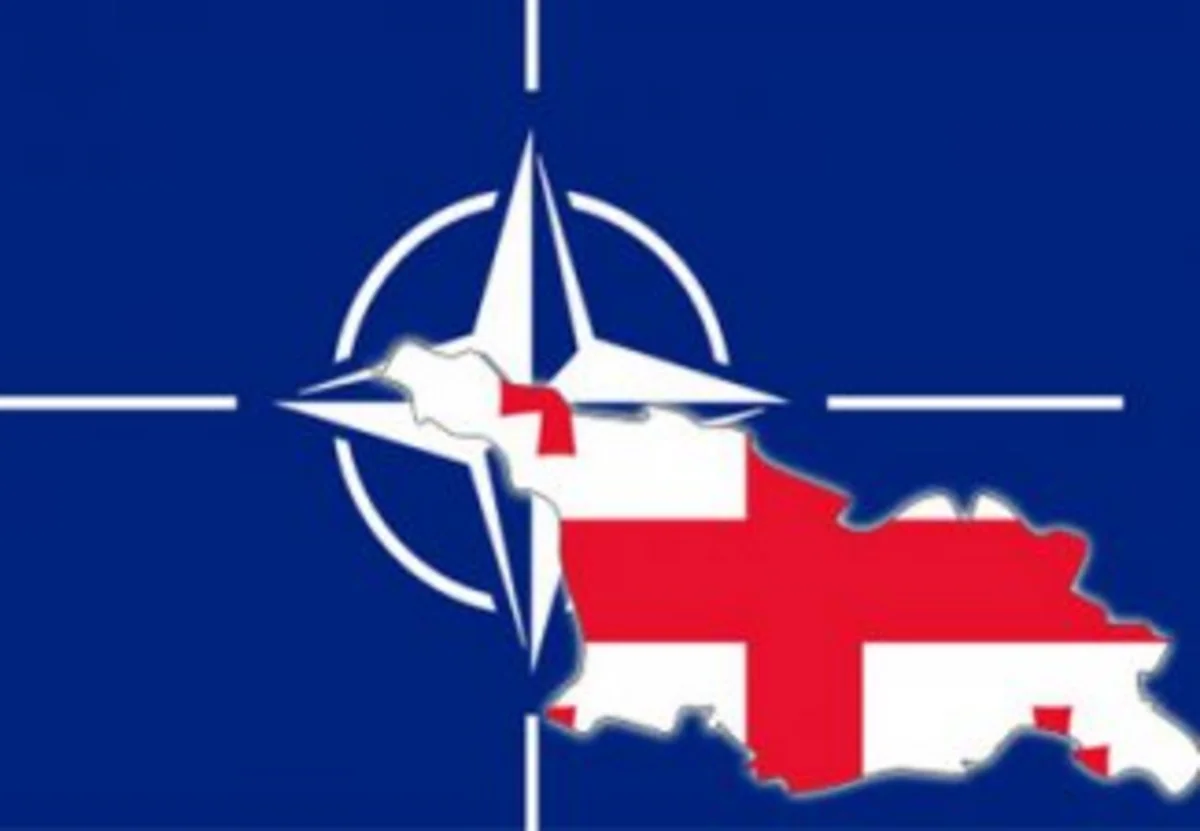 Генсек: НАТО продолжит тесно сотрудничать с Грузией