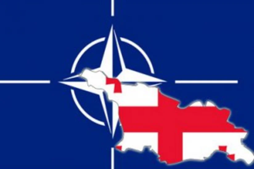 Генсек: НАТО продолжит тесно сотрудничать с Грузией