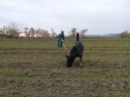 Cocuq Mərcanlıda gün ərzində 4 hektardan çox ərazi təmizlənib