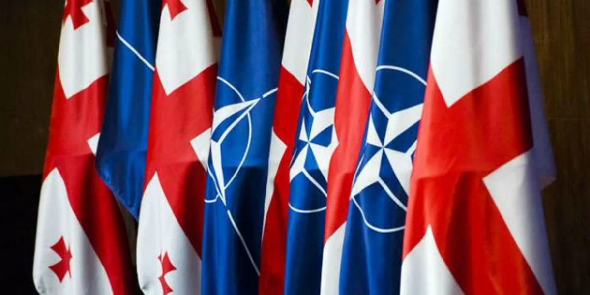 Gürcüstan NATO-dan yeni dəstək alacaq