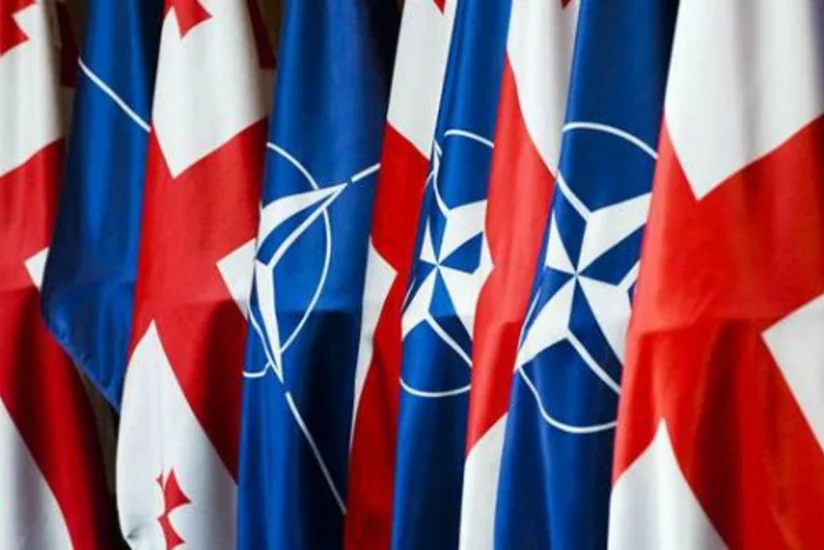 Gürcüstan NATO-dan yeni dəstək alacaq