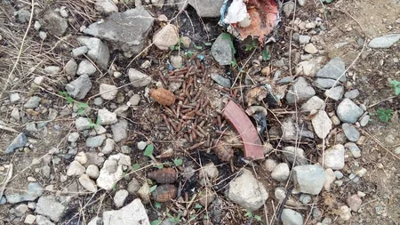 Şəmkirdə 149 partlamamış hərbi sursat tapılıb