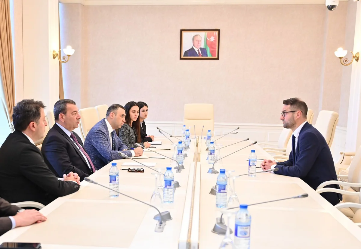 Avropa Parlamentinin komitə üzvü qurumun Azərbaycana qarşı qərəzli mövqeyini pisləyib
