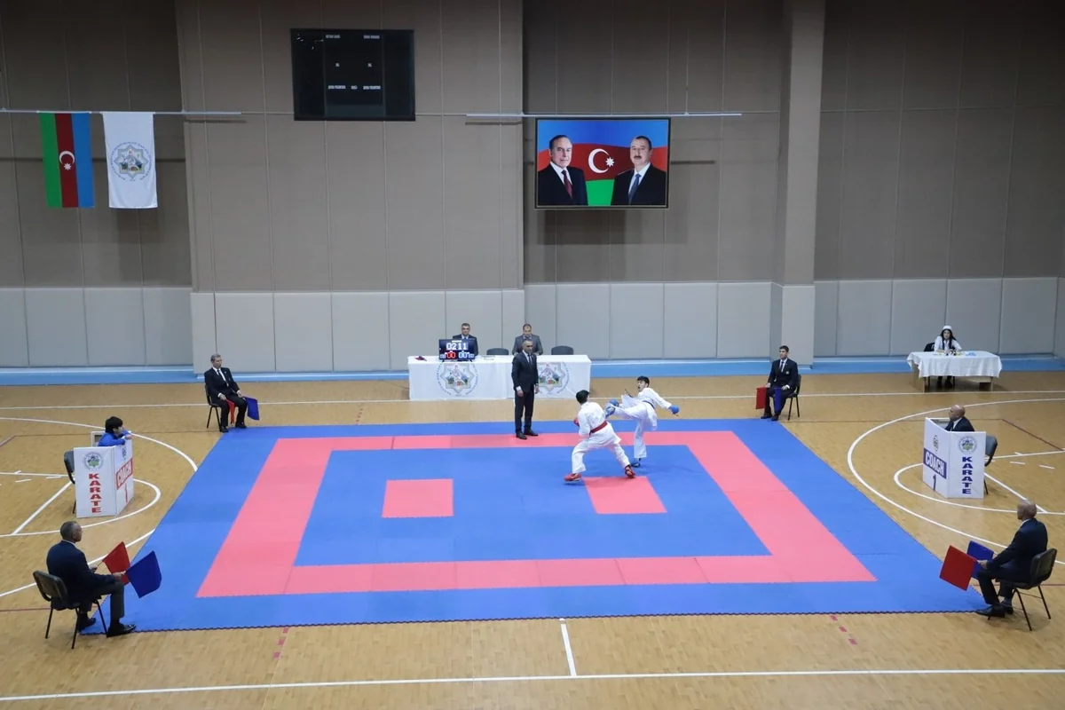 Naxçıvan Karate-do Federasiyası fəaliyyətini dayandırıb