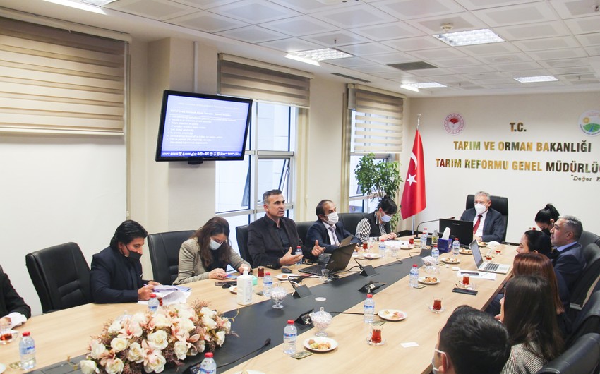 Azərbaycan Türkiyə ilə kənd təsərrüfatı sahəsində əməkdaşlığı genişləndirir