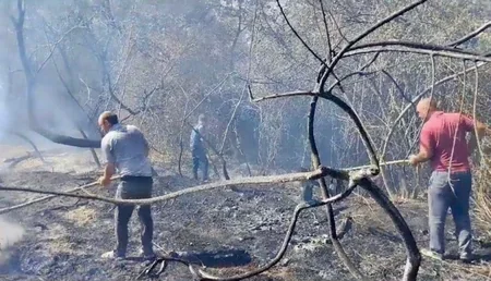 Cəlilabad və Beyləqanda meşə ərazilərində yanğın olub