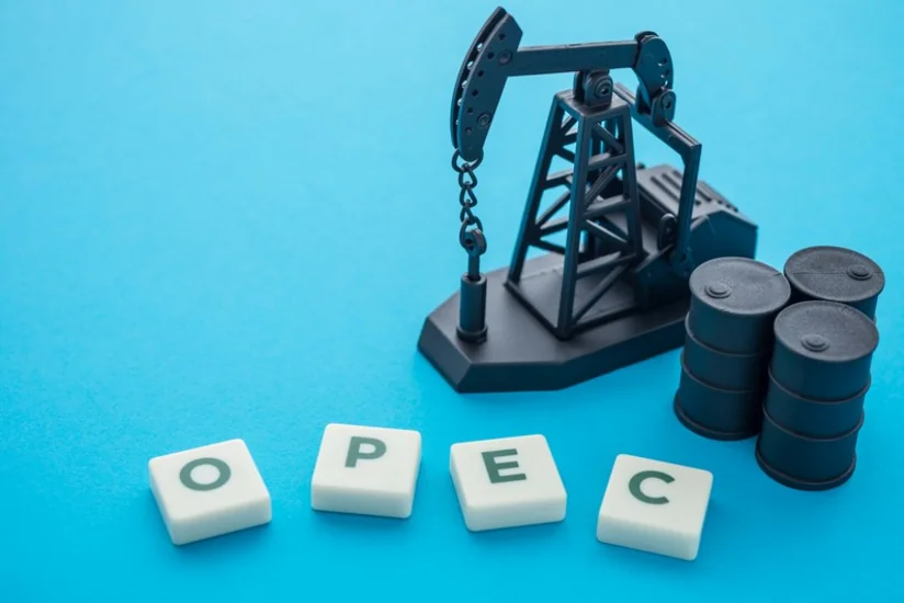 Источник: главы делегаций ОПЕК+ определят объемы добычи нефти на февраль