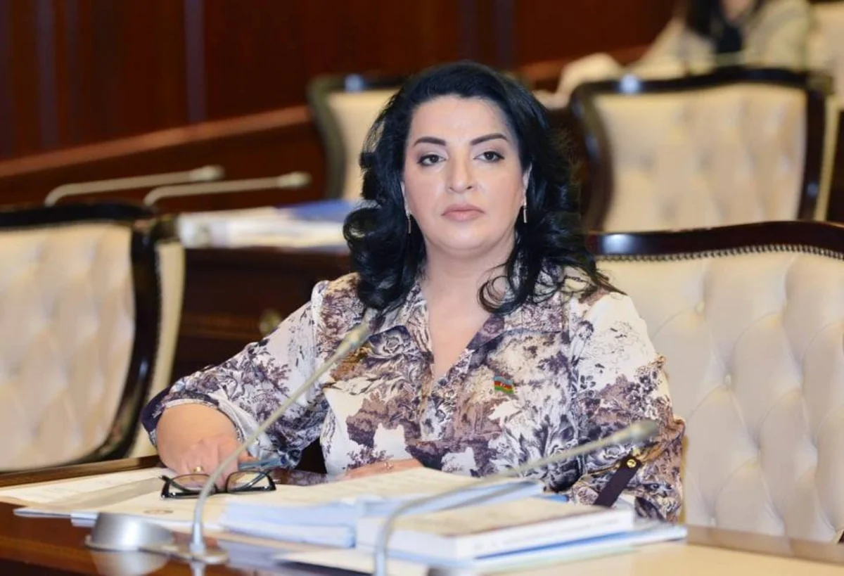 Fatma Yıldırım: “Türk xalqını saxta ittihamlarla zəif düşürmək mümkün deyil”