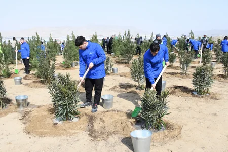 Bakı Şəhər İcra Hakimiyyəti ağacəkmə aksiyası keçirib
