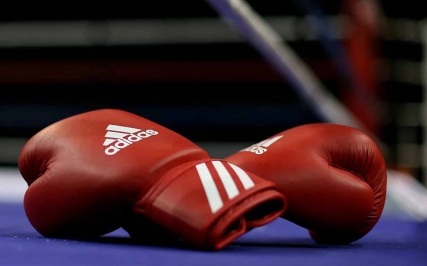 Bakıda boks üzrə kadetlər arasında zona birinciliyinin final mərhələsi start götürəcək