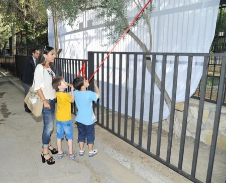 ​Leyla Əliyevanın təşəbbüsü ilə Bakı Zooloji Parkında yeni qəfəs quraşdırılıb