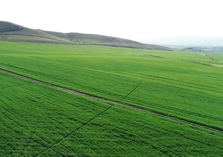 President Ilham Aliyev attends opening of Gakh Agropark