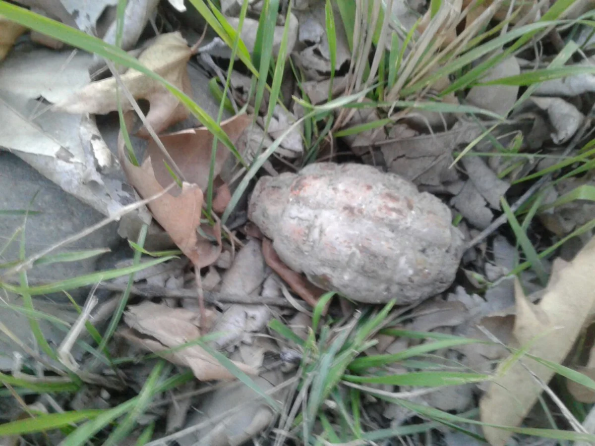 Tərtərdə kənd xəstəxanasının həyətindən qumbara tapılıb