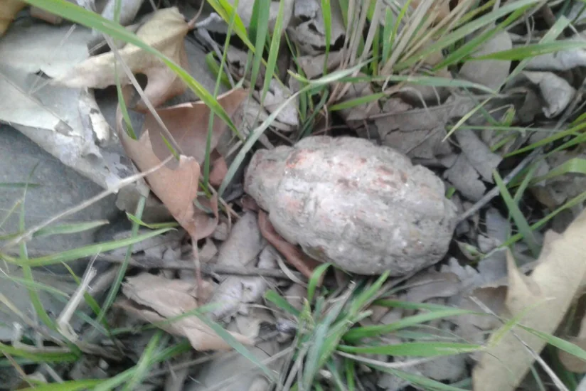 Tərtərdə kənd xəstəxanasının həyətindən qumbara tapılıb