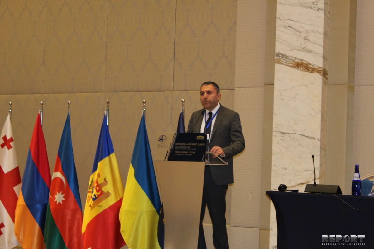 Armenian delegation resorts to provocation at Euronest PA session