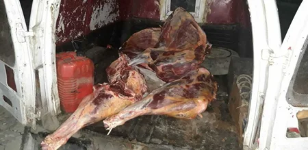 Ağdamda 180 kq istifadəyə yararsız heyvan cəmdəyi aşkarlanıb