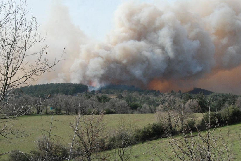 Türkiyənin bir sıra şəhərlərində meşə yanğını baş verib