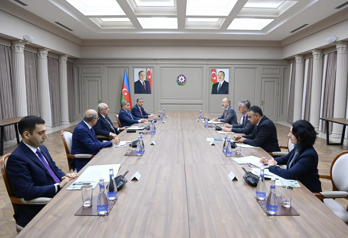 Azerbaijan and OECD mull cooperation prospects