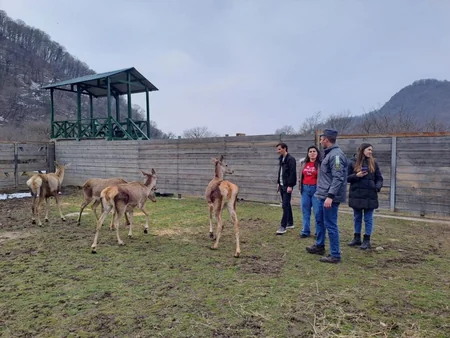 Over 200,000 tourists visit national parks in Azerbaijan this year