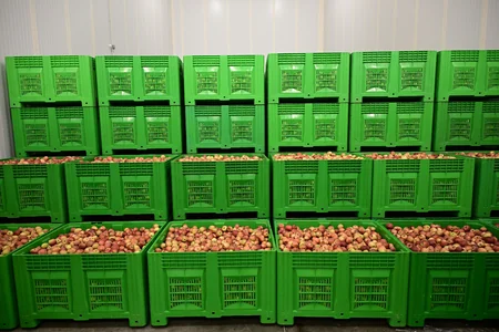 President Ilham Aliyev inspects operations of horticulture and cold storage complex in Gusar District