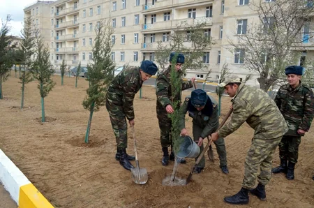 ​Silahlı Qüvvələrdə ağacəkmə aksiyasına start verilib