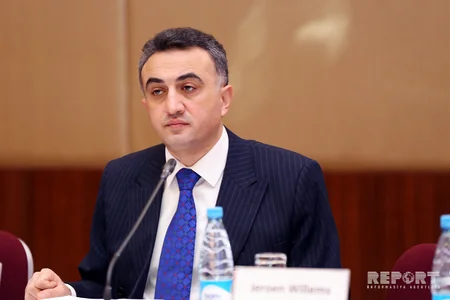 Department chief: Azerbaijan actively participates in Council of Europe projects on reforming legal system