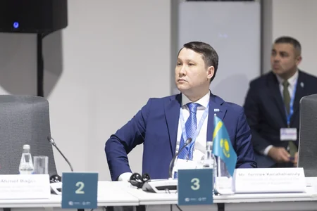 Baku hosts panel discussions on 'From Global Goals to Local Action' as part of COP29