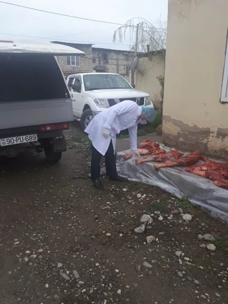 Xaçmazda mənşəyi məlum olmayan heyvan cəmdəyi aşkarlanıb