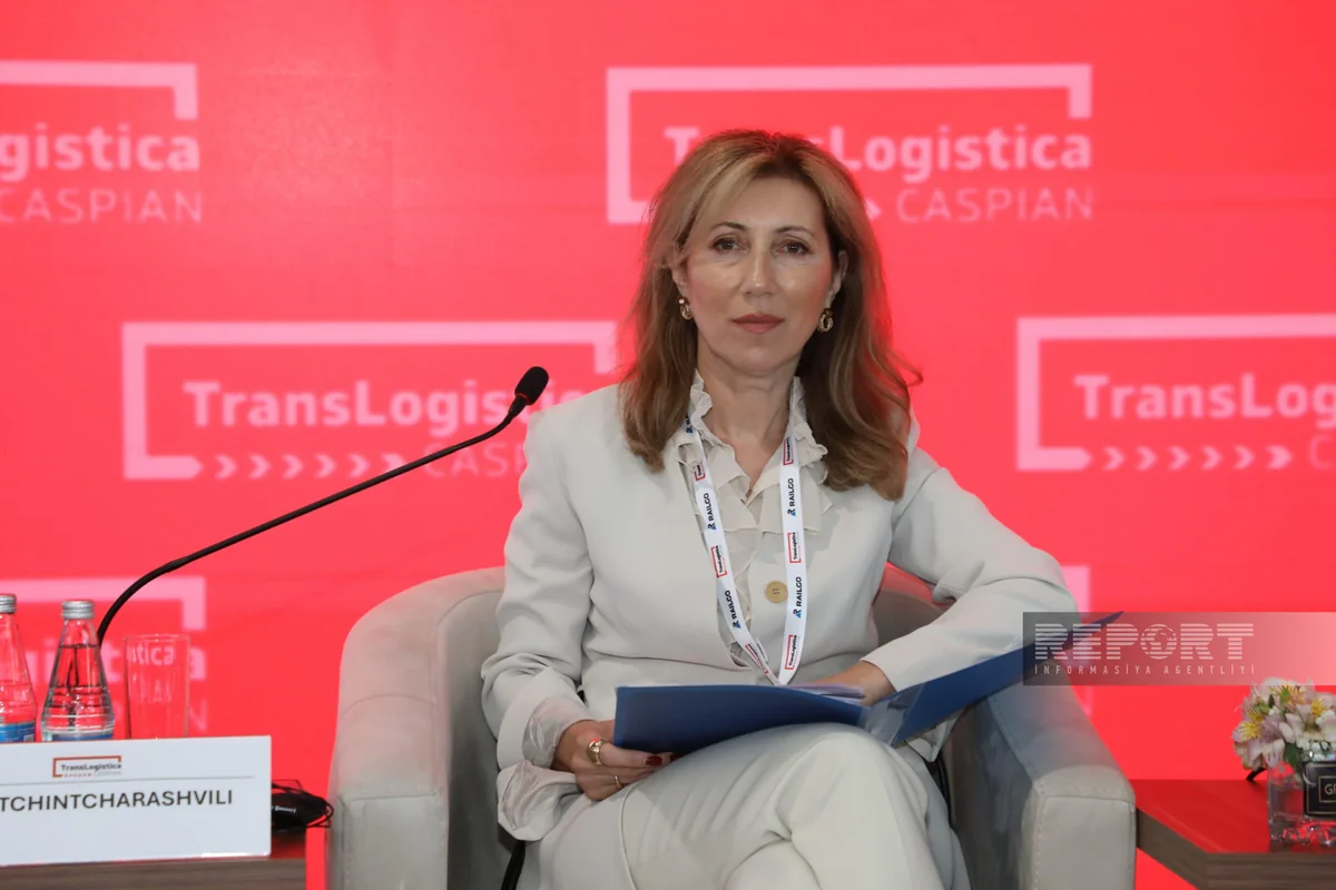 Georgian Railway to fully ensure data exchange on Middle Corridor