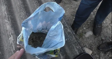 Quba sakininin evindən narkotik götürüldü