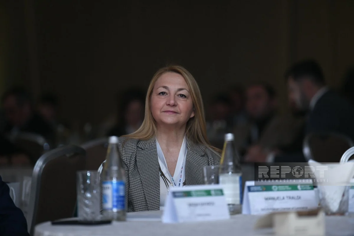 Manuela Traldi: Azerbaijan's approach to business deserves int'l recognition