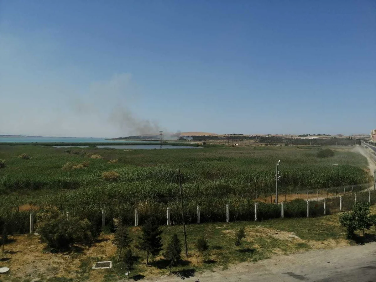 Ceyranbatan su anbarında yanğın söndürülüb - FOTO - VİDEO - YENİLƏNİB-2