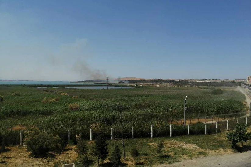 Пожар вблизи водохранилища Джейранбатан потушен - ВИДЕО - ОБНОВЛЕНО - 2