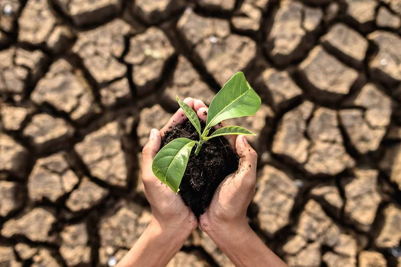 Azərbaycanda səhralaşma problemi: İqlim dəyişikliyi, yoxsa insan faktoru? - ARAŞDIRMA