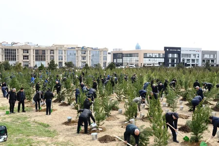 Bakının 543 küçəsi yuyulub - YENİLƏNİB