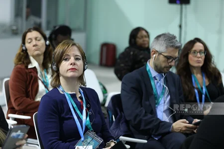 Parlament Görüşünün ikinci günündə iqlim dəyişikliyi ilə mübarizədə texnologiyadan istifadənin perspektivləri müzakirə edilib