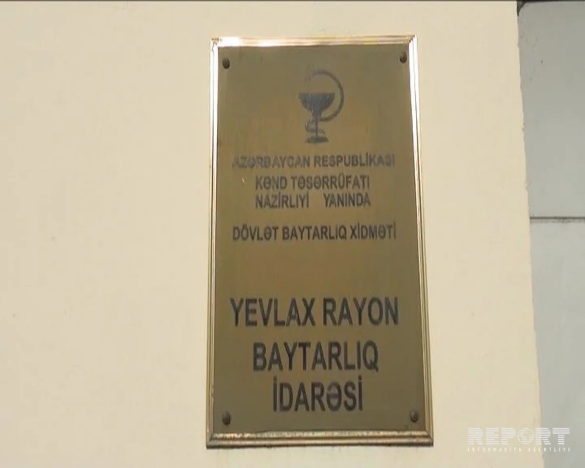 Yevlax rayon Baytarlıq İdarəsinin rəisi işdən çıxarılıb