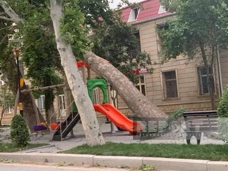 Yevlaxda güclü külək fəsadlar törədib