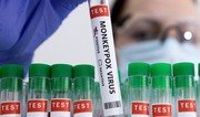 В Австралии зафиксировали первый случай заражения новым штаммом оспы обезьян