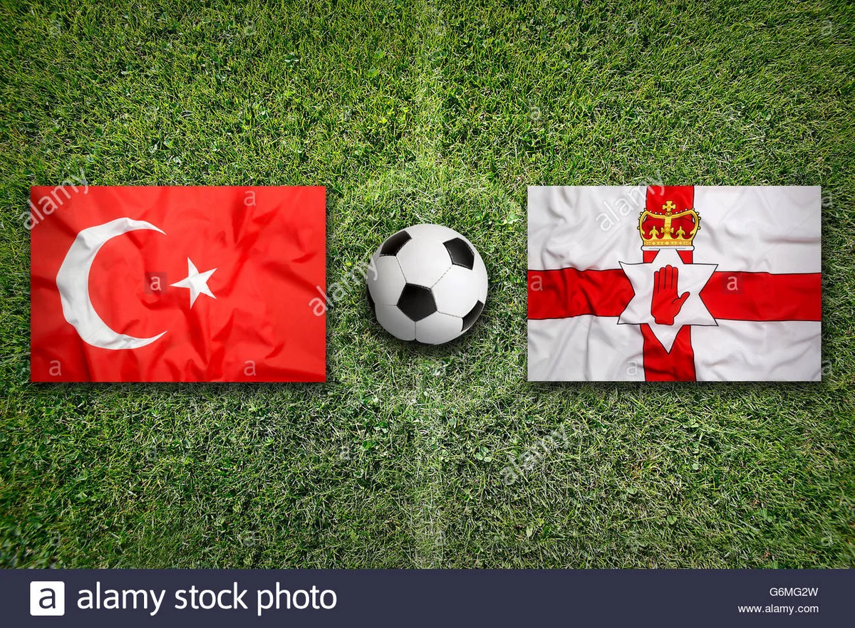 Türkiyə - Şimali İrlandiya oyunu ləğv olundu