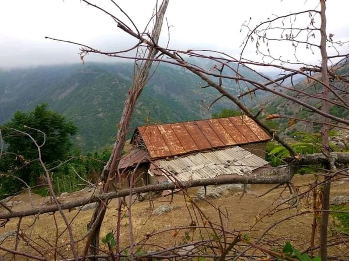 İsmayıllı sakini avtomobilində odlu silahla qətlə yetirilib