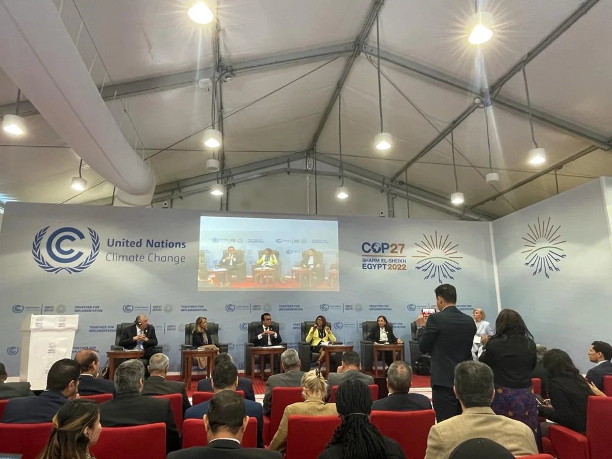 Tərəflər Konfransı: Qlobal temperatur yüksəldikcə dayanıqlılıq üçün daha çox maliyyə tələb olunur