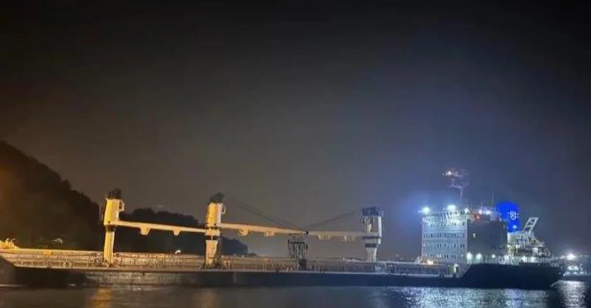 Cargo ship from Ukraine runs aground in Bosphorus Strait in Turkiye