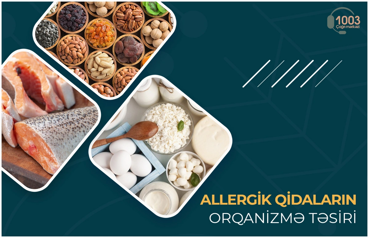 Allergik qidaların orqanizmə təsiri - MƏQALƏ