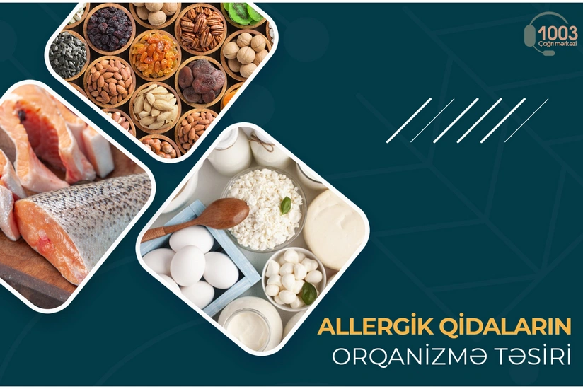Allergik qidaların orqanizmə təsiri - MƏQALƏ