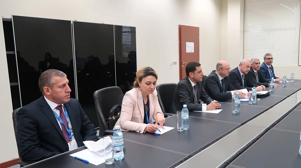 Azərbaycan “Equinor” şirkətinə bərpa olunan enerji sahəsində əməkdaşlıq təklif edib