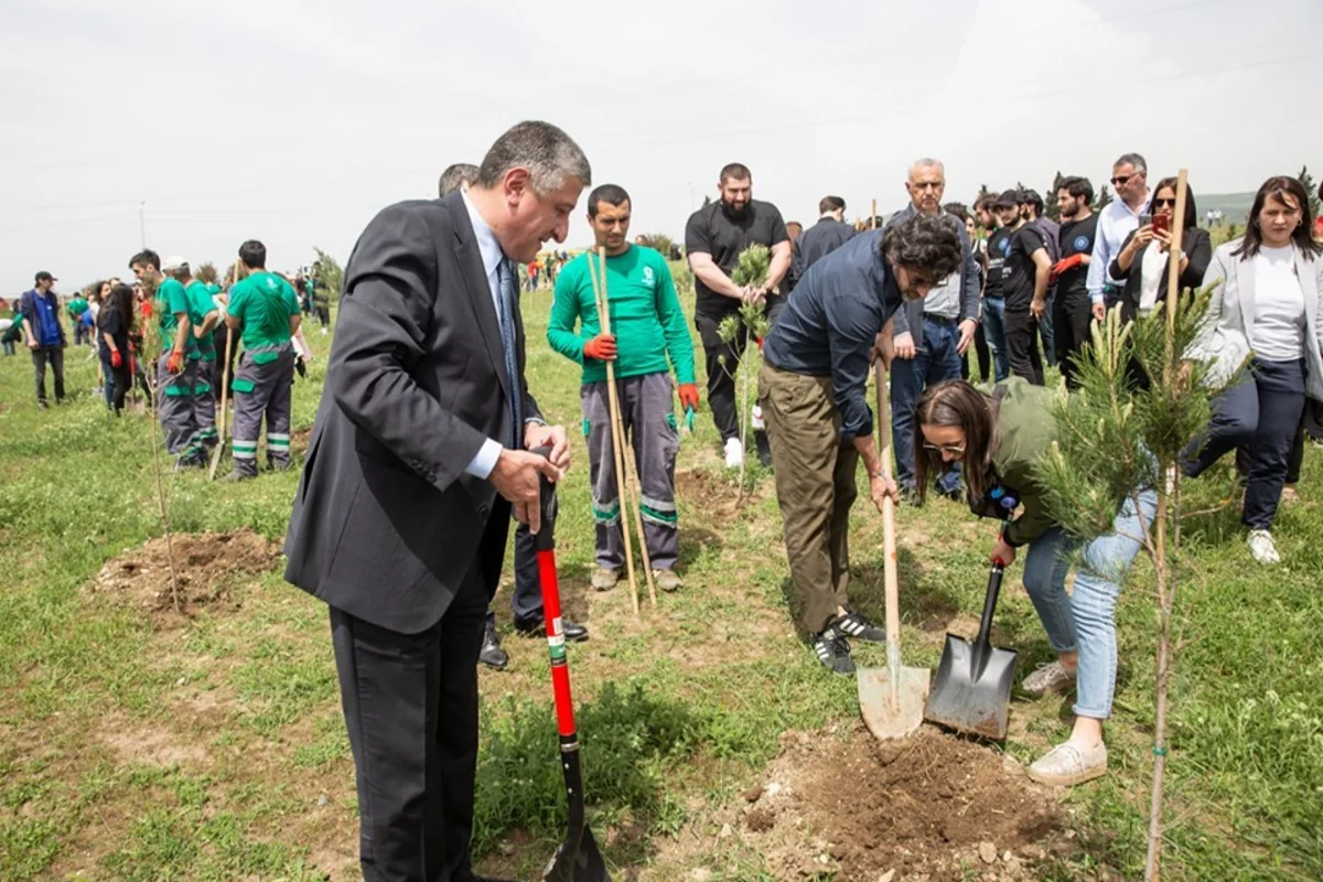 Azərbaycan səfiri Tbilisi meri ilə birgə ağac əkib